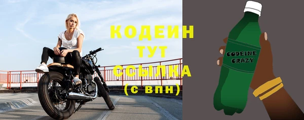 дживик Богородск