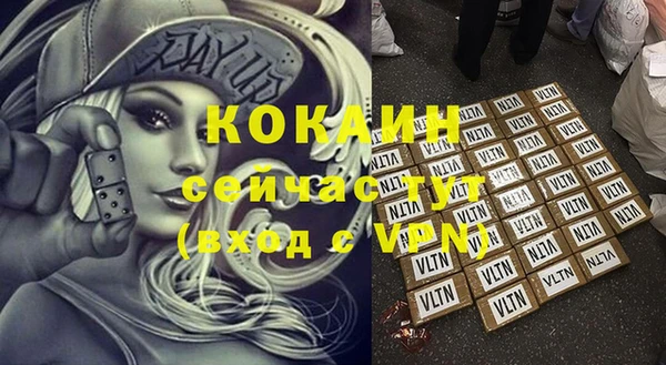 стафф Бородино