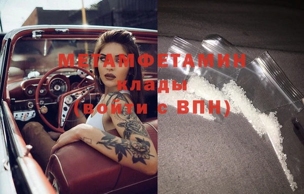 дмт Богданович