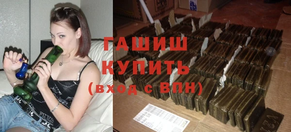 стафф Бородино