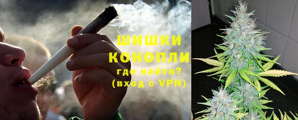 стафф Бородино