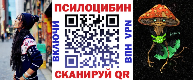 хочу наркоту  Городец  Псилоцибиновые грибы прущие грибы 